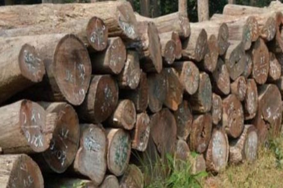 ४८ क्युफिट सालको काठसहित एक पक्राउ